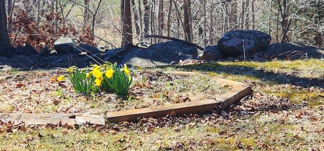 view of yard with a vegetable garden