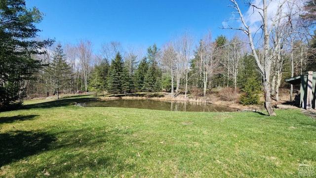 view of yard featuring a water view