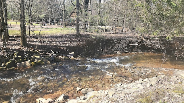 view of local wilderness