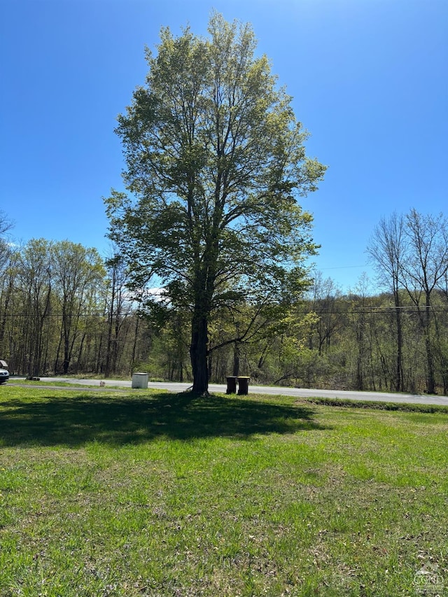 view of yard featuring a view of trees