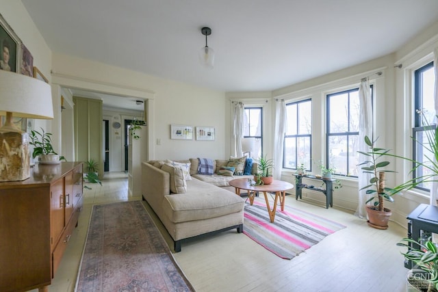 living room with a healthy amount of sunlight and wood-type flooring