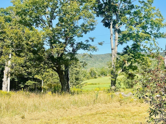 view of nature