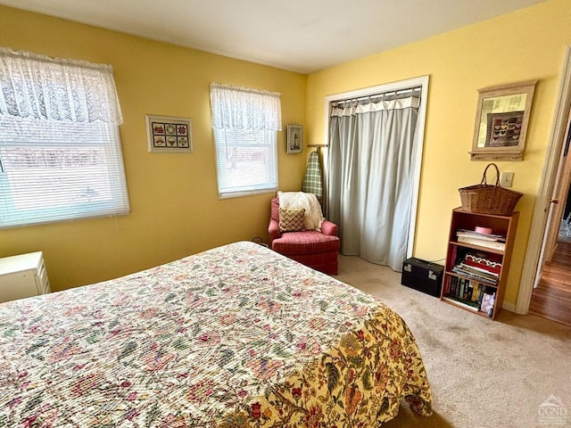 bedroom featuring carpet floors