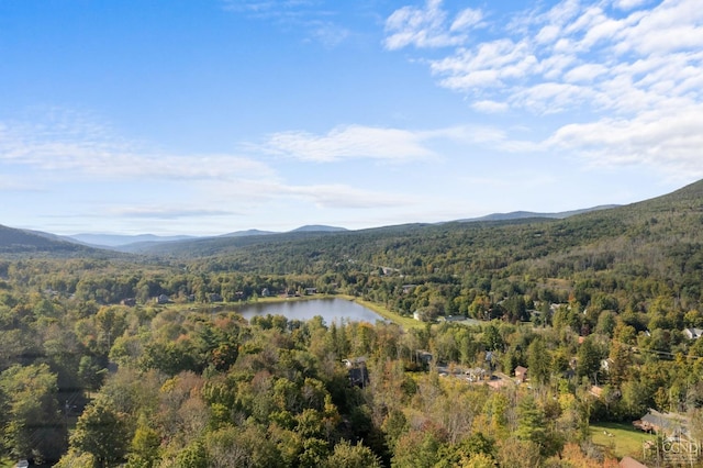 view of mountain feature with a water view