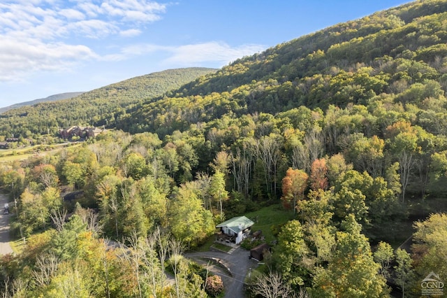 drone / aerial view with a mountain view