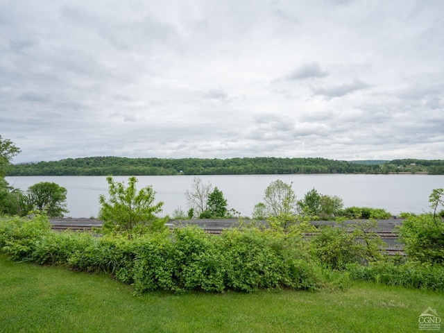 view of water feature