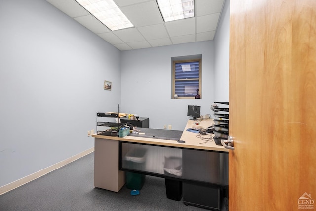 office space featuring carpet floors, a drop ceiling, and baseboards