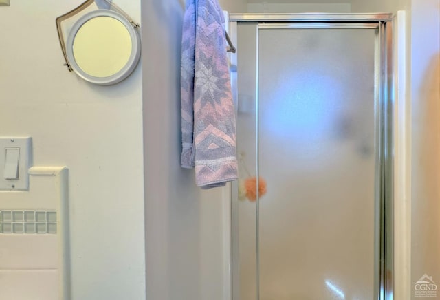 interior details featuring walk in shower