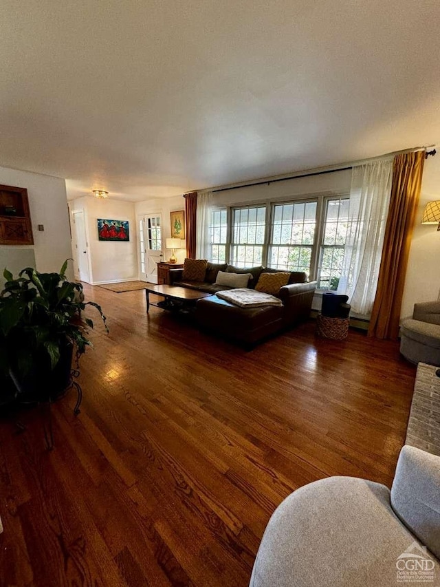 living room featuring dark hardwood / wood-style floors