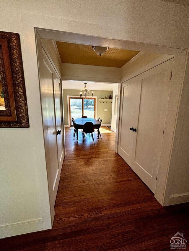 bedroom with multiple windows and wood-type flooring