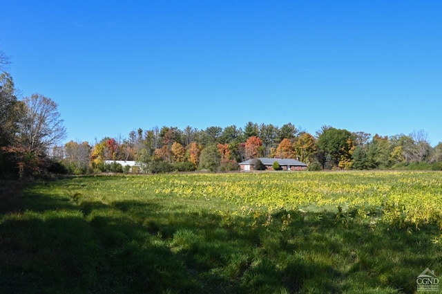 view of yard featuring a rural view