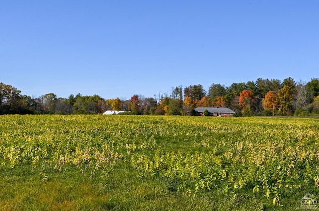 view of yard featuring a rural view