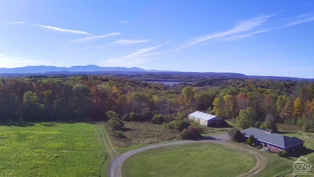 birds eye view of property featuring a mountain view