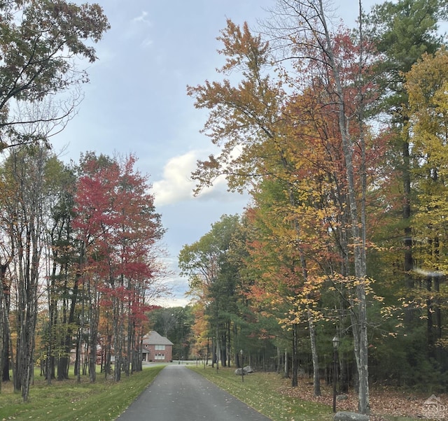 view of road