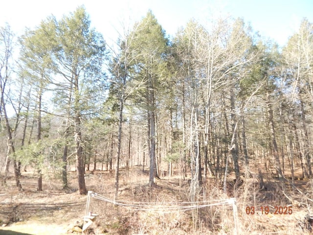 view of local wilderness