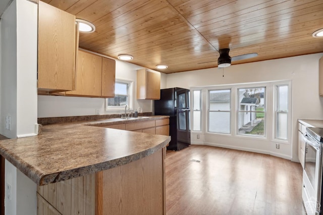 kitchen with kitchen peninsula, light hardwood / wood-style flooring, black fridge, and a wealth of natural light