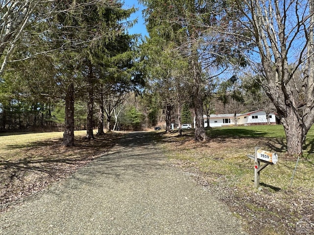 view of street with gravel driveway