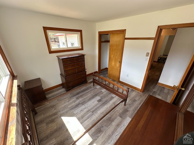 bedroom with baseboards, multiple windows, wood finished floors, and a closet