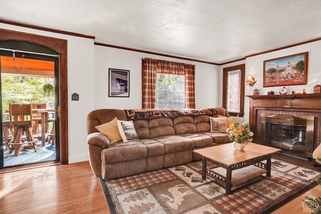 living room featuring wood-type flooring, a fireplace, and a wealth of natural light