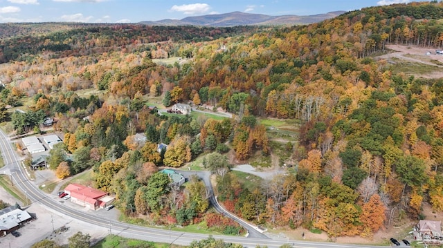 aerial view with a mountain view