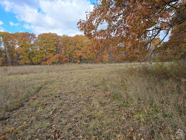 view of nature