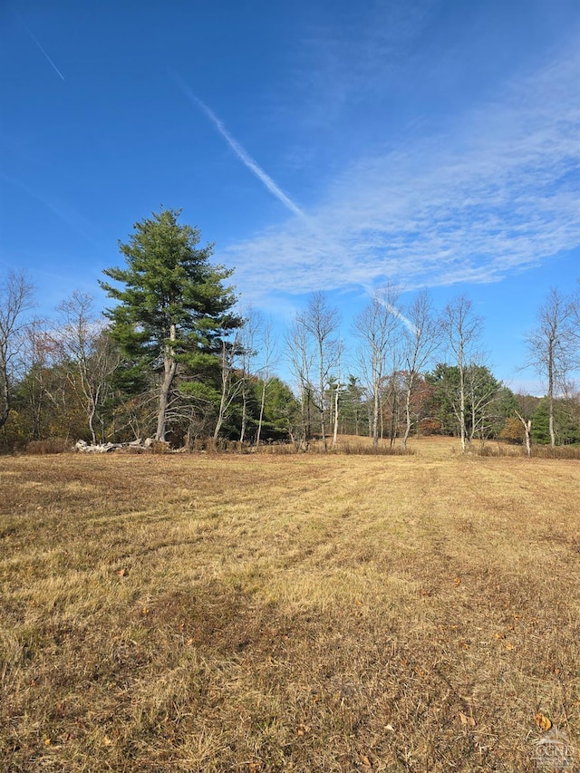 view of yard with a rural view