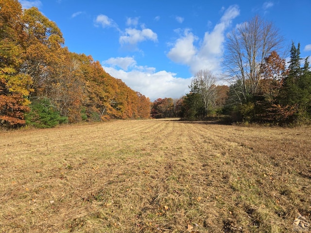 view of yard featuring a rural view