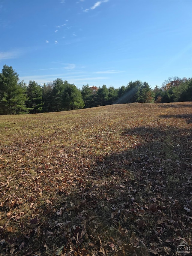 view of local wilderness featuring a rural view