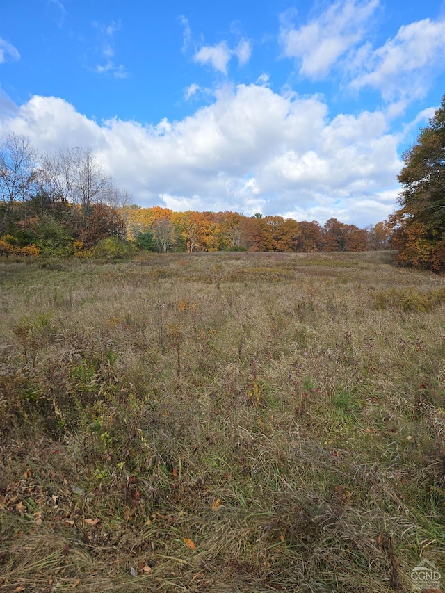 view of landscape featuring a rural view