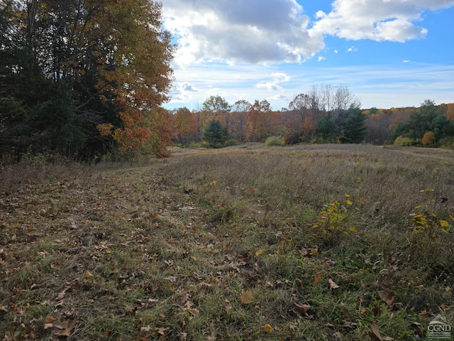 view of local wilderness