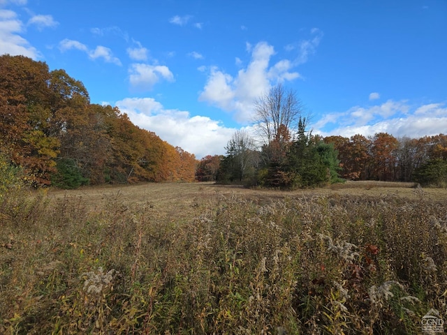 view of local wilderness