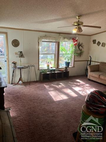 carpeted living room with ceiling fan, a healthy amount of sunlight, and a textured ceiling