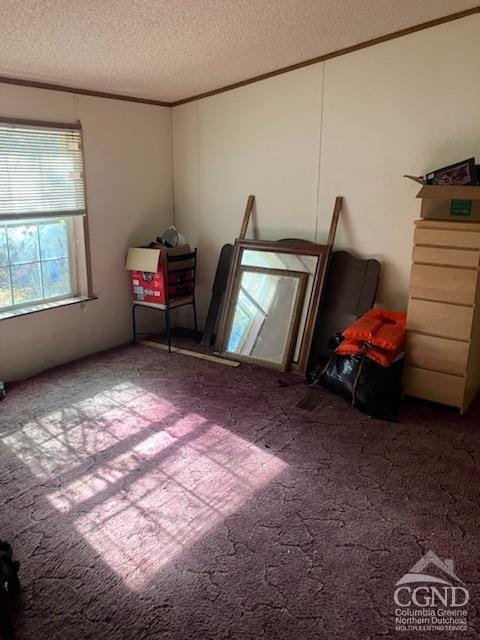 bedroom featuring carpet and a textured ceiling