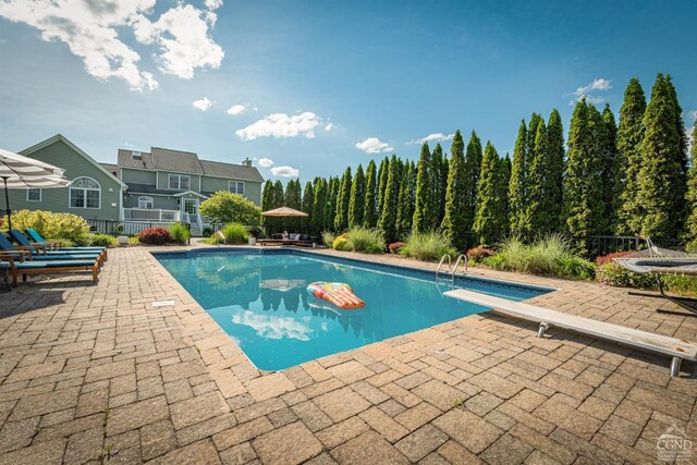 pool featuring a diving board, a patio area, and fence