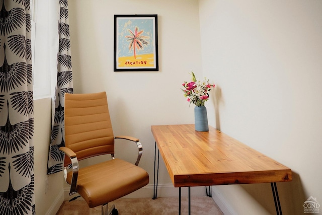 sitting room with baseboards and carpet