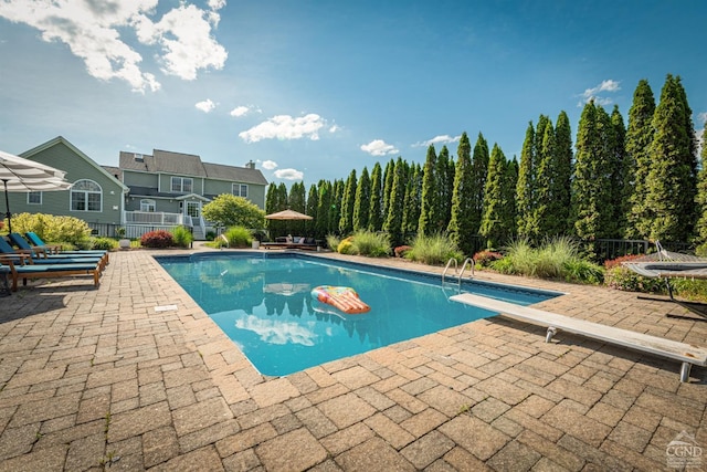 pool featuring a diving board, a patio area, and fence