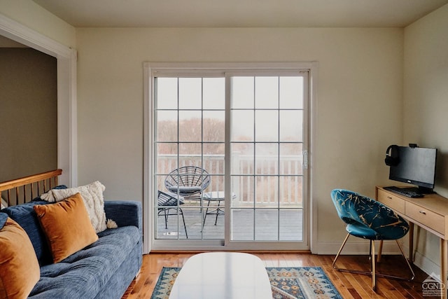 interior space featuring wood finished floors and a wealth of natural light