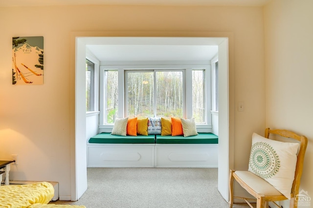 sitting room with carpet and a wealth of natural light