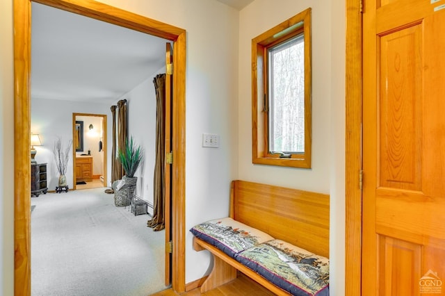 corridor with carpet flooring