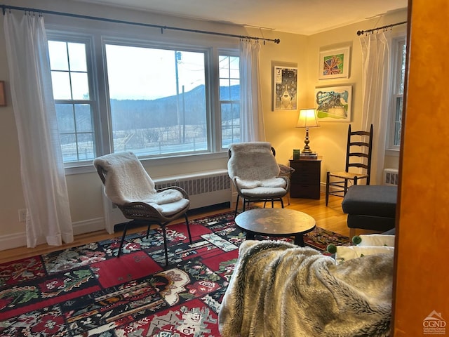 sitting room with a mountain view, radiator heating unit, and hardwood / wood-style floors