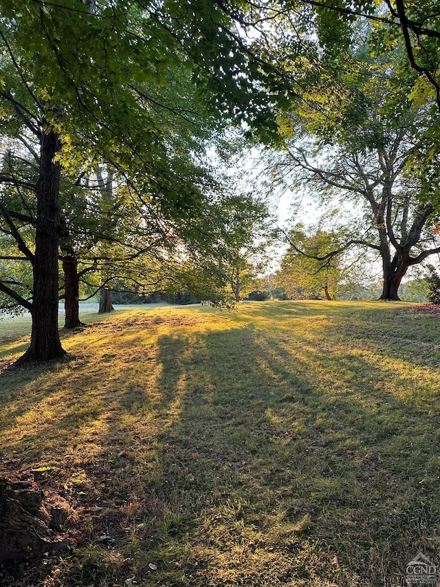 view of yard featuring a water view