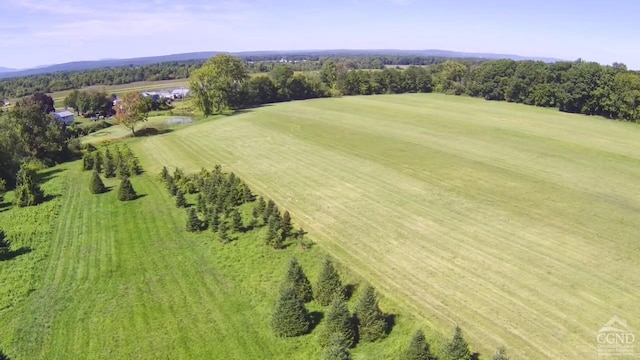 bird's eye view with a rural view