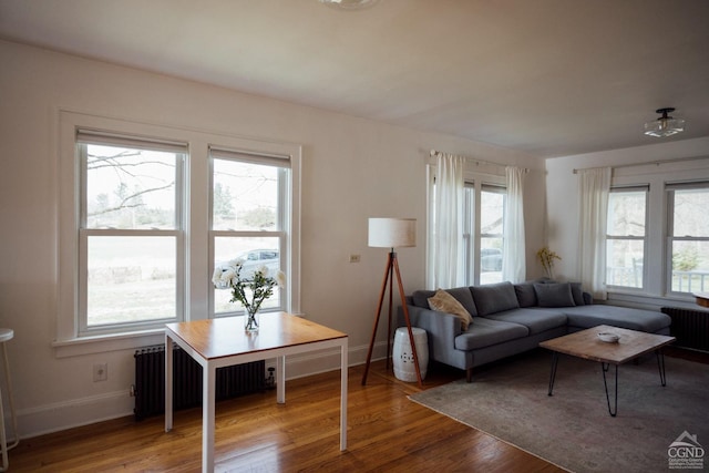 living room featuring baseboards and wood finished floors
