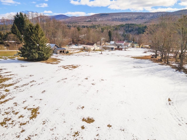 property view of mountains featuring a wooded view