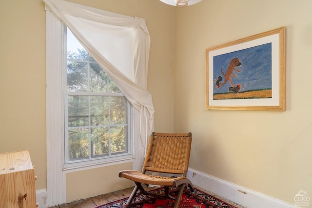 living area featuring a wealth of natural light