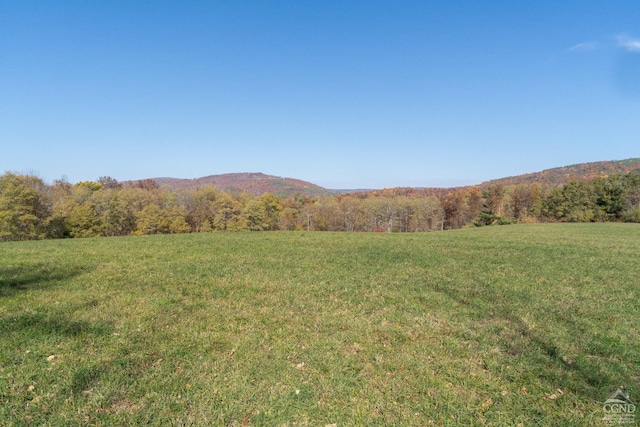 view of mountain feature