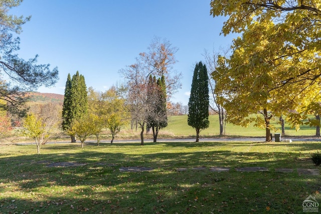 view of community featuring a yard