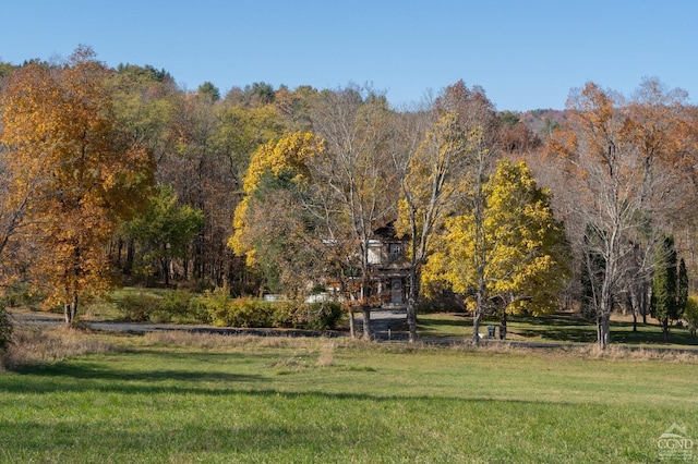 view of property's community with a lawn