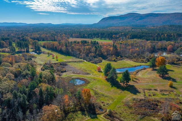 drone / aerial view with a water and mountain view