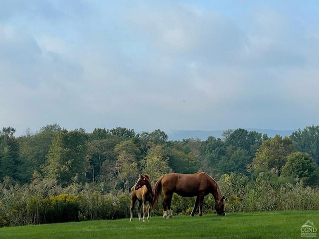 view of stable featuring a rural view